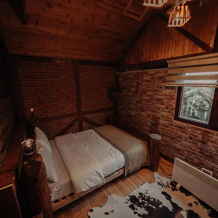 Bolu'da Dag Evi *