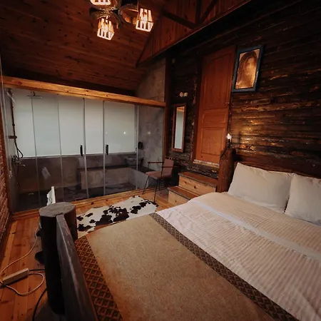 Lodge Bolu'da Dag Evi